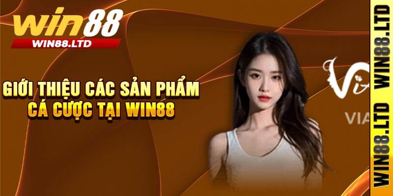 Giới Thiệu Các Sản Phẩm Cá Cược Tại Win88